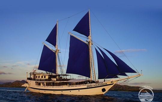 Indo Aggressor Sailing Yacht